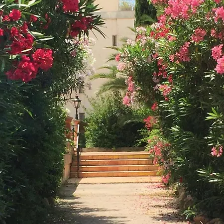 Apartment Brigitte Centre Tropez Parking Piscine Wifi Vue